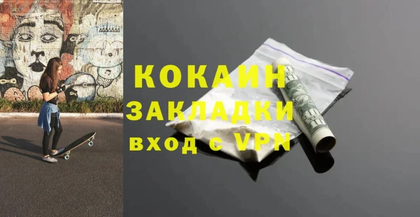 шишки Абаза