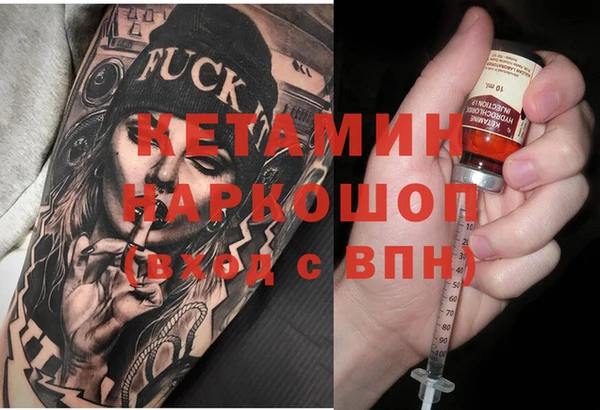 шишки Абаза