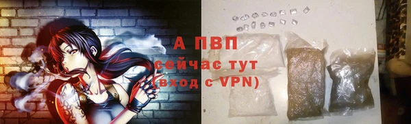 шишки Абаза