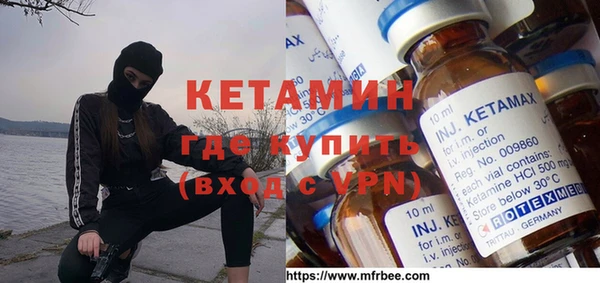 шишки Абаза